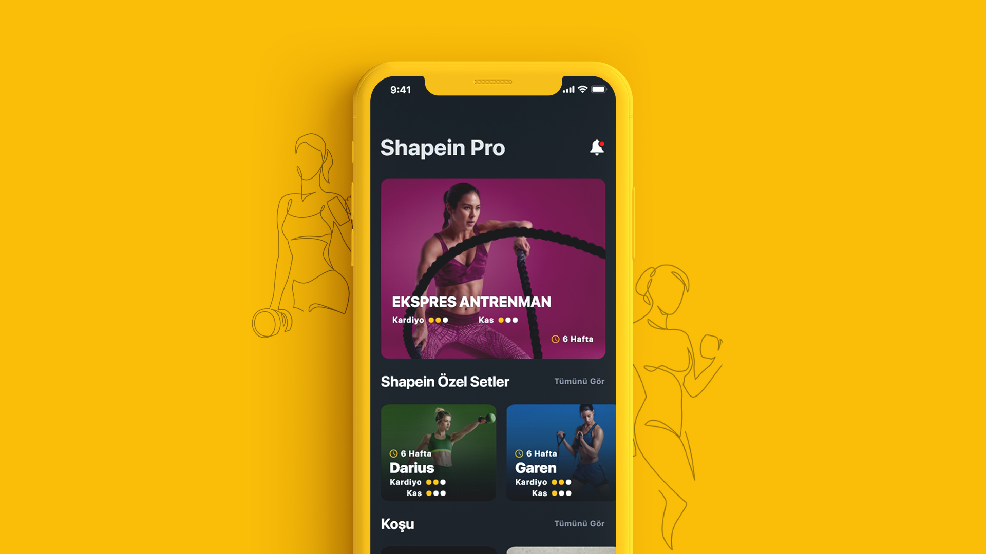 SHAPEIN